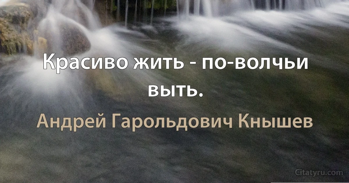 Красиво жить - по-волчьи выть. (Андрей Гарольдович Кнышев)