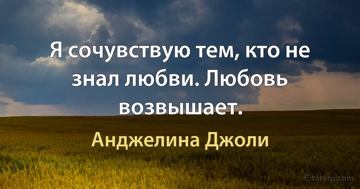 Я сочувствую тем, кто не знал любви. Любовь возвышает. (Анджелина Джоли)