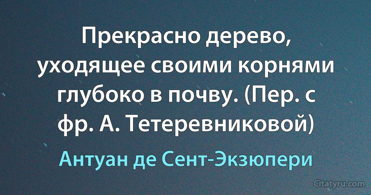 Прекрасно дерево, уходящее своими корнями глубоко в почву. (Пер. с фр. А. Тетеревниковой) (Антуан де Сент-Экзюпери)