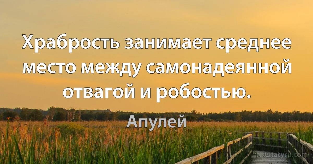 Храбрость занимает среднее место между самонадеянной отвагой и робостью. (Апулей)