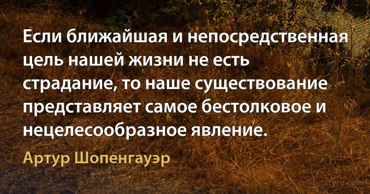 Если ближайшая и непосредственная цель нашей жизни не есть страдание, то наше существование представляет самое бестолковое и нецелесообразное явление. (Артур Шопенгауэр)