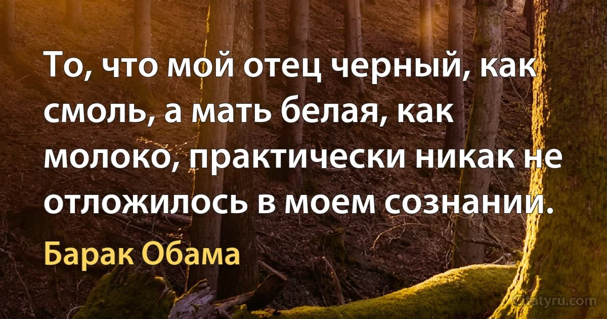 То, что мой отец черный, как смоль, а мать белая, как молоко, практически никак не отложилось в моем сознании. (Барак Обама)