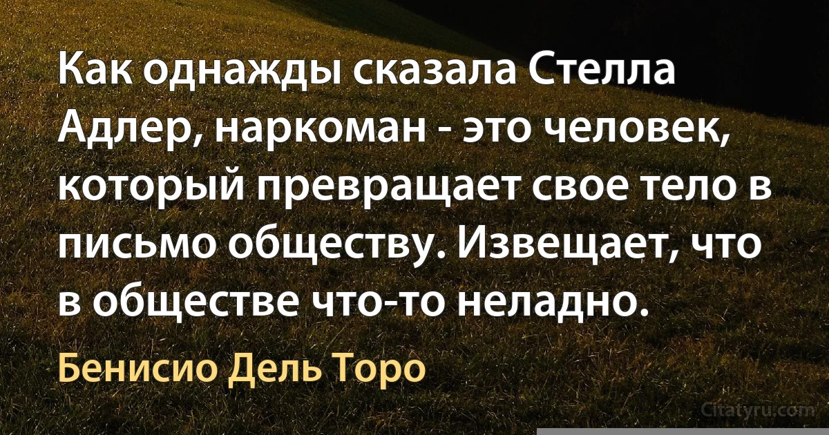 Как однажды сказала Стелла Адлер, наркоман - это человек, который превращает свое тело в письмо обществу. Извещает, что в обществе что-то неладно. (Бенисио Дель Торо)