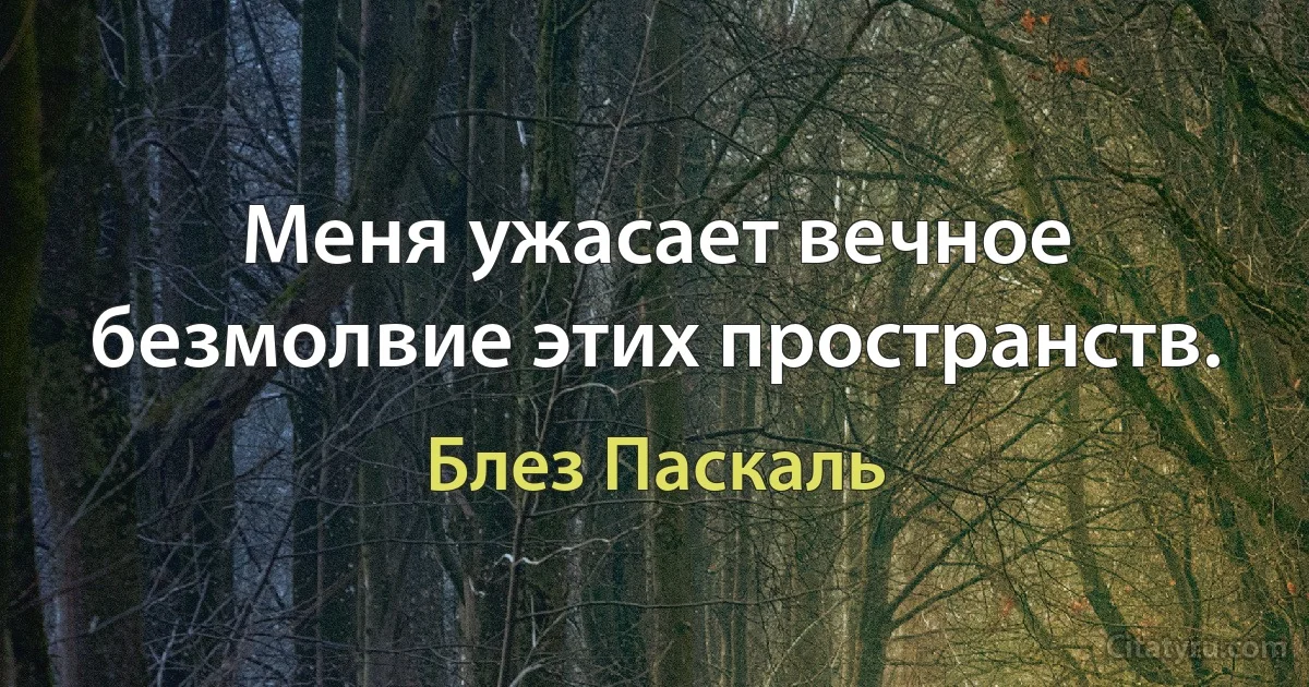 Меня ужасает вечное безмолвие этих пространств. (Блез Паскаль)