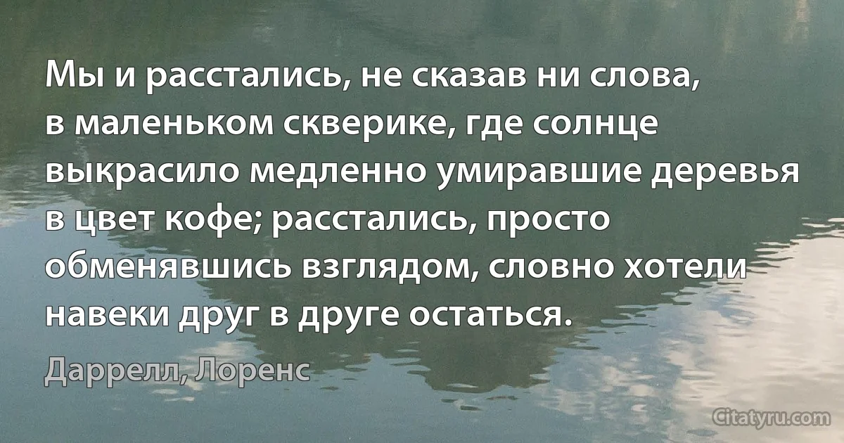 Мы и расстались, не сказав ни слова, в маленьком скверике, где солнце выкрасило медленно умиравшие деревья в цвет кофе; расстались, просто обменявшись взглядом, словно хотели навеки друг в друге остаться. (Даррелл, Лоренс)