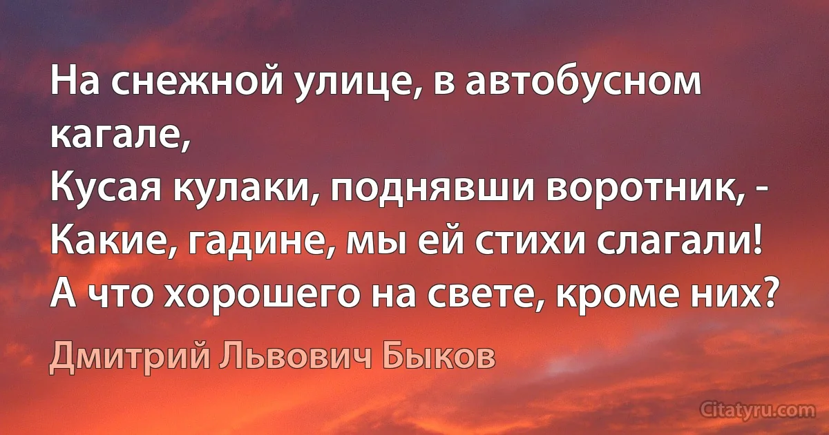 На снежной улице, в автобусном кагале,
Кусая кулаки, поднявши воротник, -
Какие, гадине, мы ей стихи слагали!
А что хорошего на свете, кроме них? (Дмитрий Львович Быков)