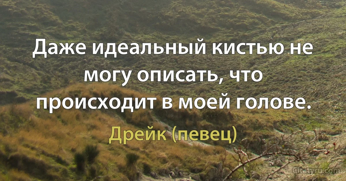 Даже идеальный кистью не могу описать, что происходит в моей голове. (Дрейк (певец))