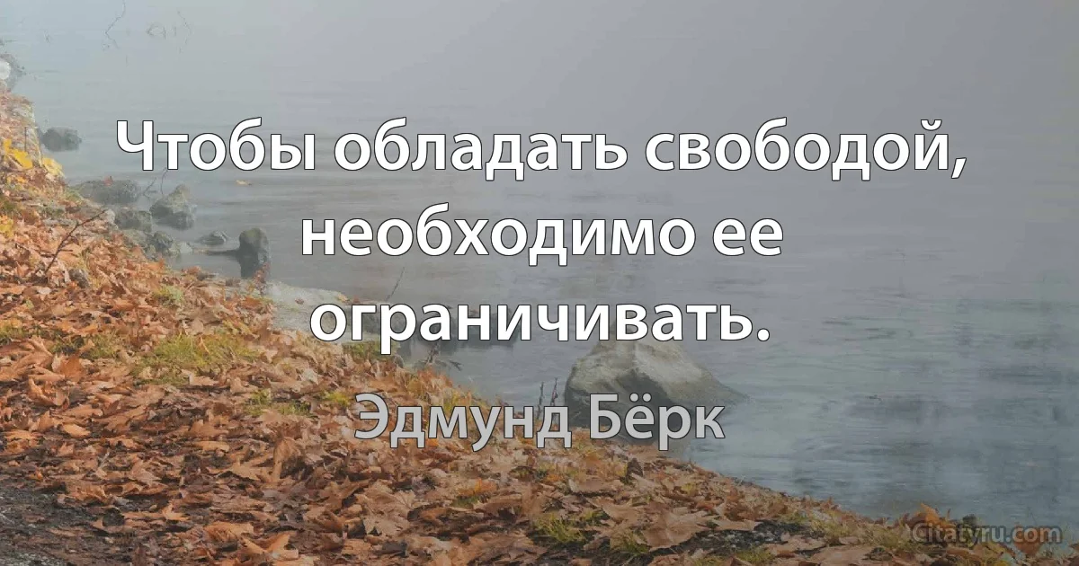 Чтобы обладать свободой, необходимо ее ограничивать. (Эдмунд Бёрк)