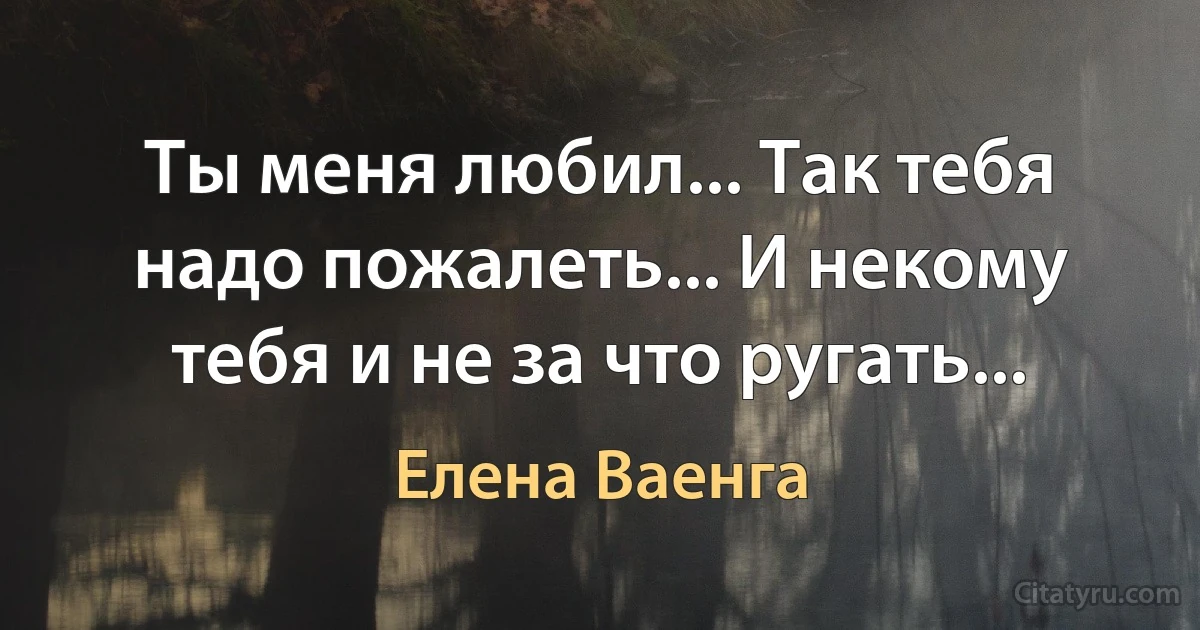 Ты меня любил... Так тебя надо пожалеть... И некому тебя и не за что ругать... (Елена Ваенга)