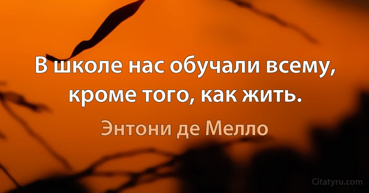 В школе нас обучали всему, кроме того, как жить. (Энтони де Мелло)