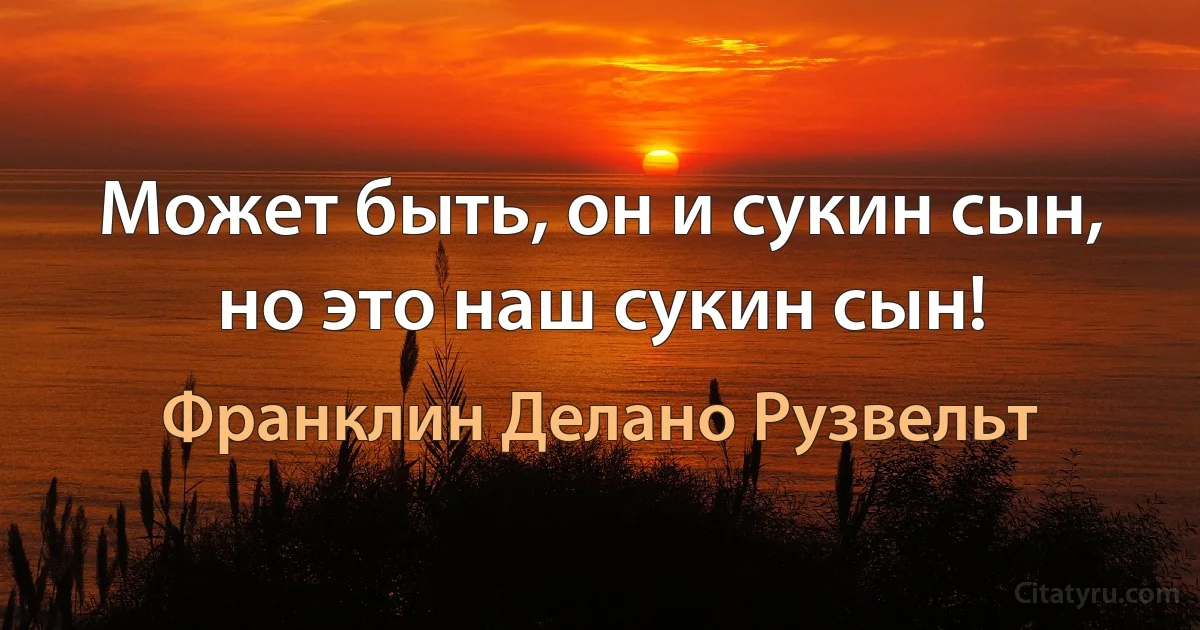 Может быть, он и сукин сын, но это наш сукин сын! (Франклин Делано Рузвельт)