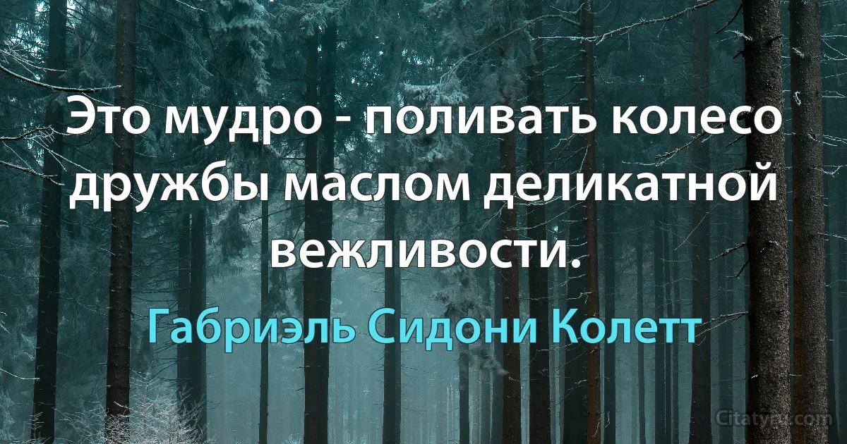 Это мудро - поливать колесо дружбы маслом деликатной вежливости. (Габриэль Сидони Колетт)