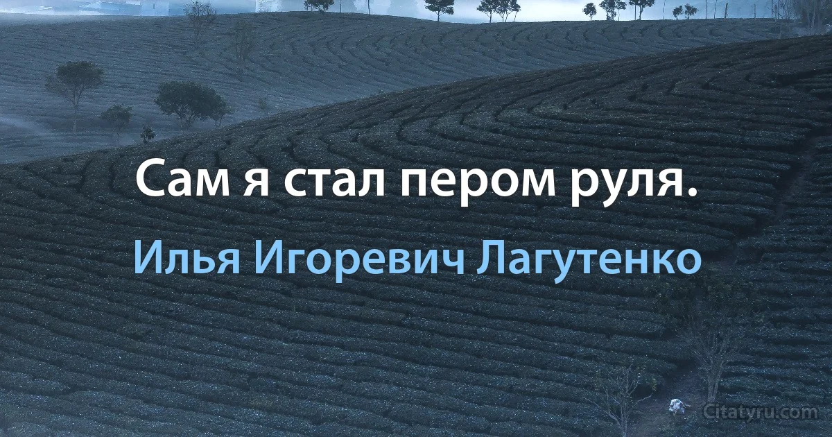 Сам я стал пером руля. (Илья Игоревич Лагутенко)