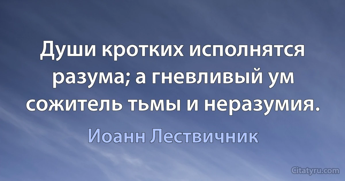 Души кротких исполнятся разума; а гневливый ум сожитель тьмы и неразумия. (Иоанн Лествичник)