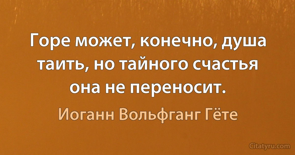 Горе может, конечно, душа таить, но тайного счастья она не переносит. (Иоганн Вольфганг Гёте)