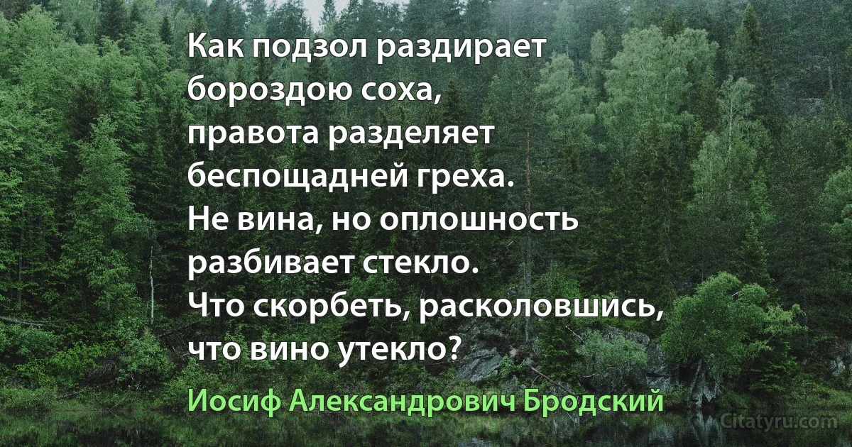 Как подзол раздирает
бороздою соха,
правота разделяет
беспощадней греха.
Не вина, но оплошность
разбивает стекло.
Что скорбеть, расколовшись,
что вино утекло? (Иосиф Александрович Бродский)