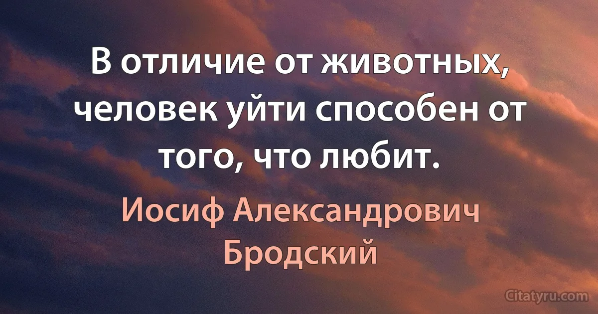 В отличие от животных, человек уйти способен от того, что любит. (Иосиф Александрович Бродский)