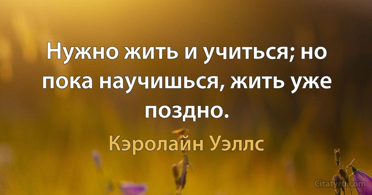 Нужно жить и учиться; но пока научишься, жить уже поздно. (Кэролайн Уэллс)