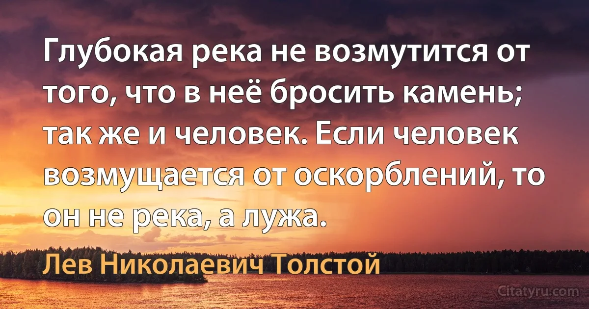 Глубокая река не возмутится от того, что в неё бросить камень; так же и человек. Если человек возмущается от оскорблений, то он не река, а лужа. (Лев Николаевич Толстой)