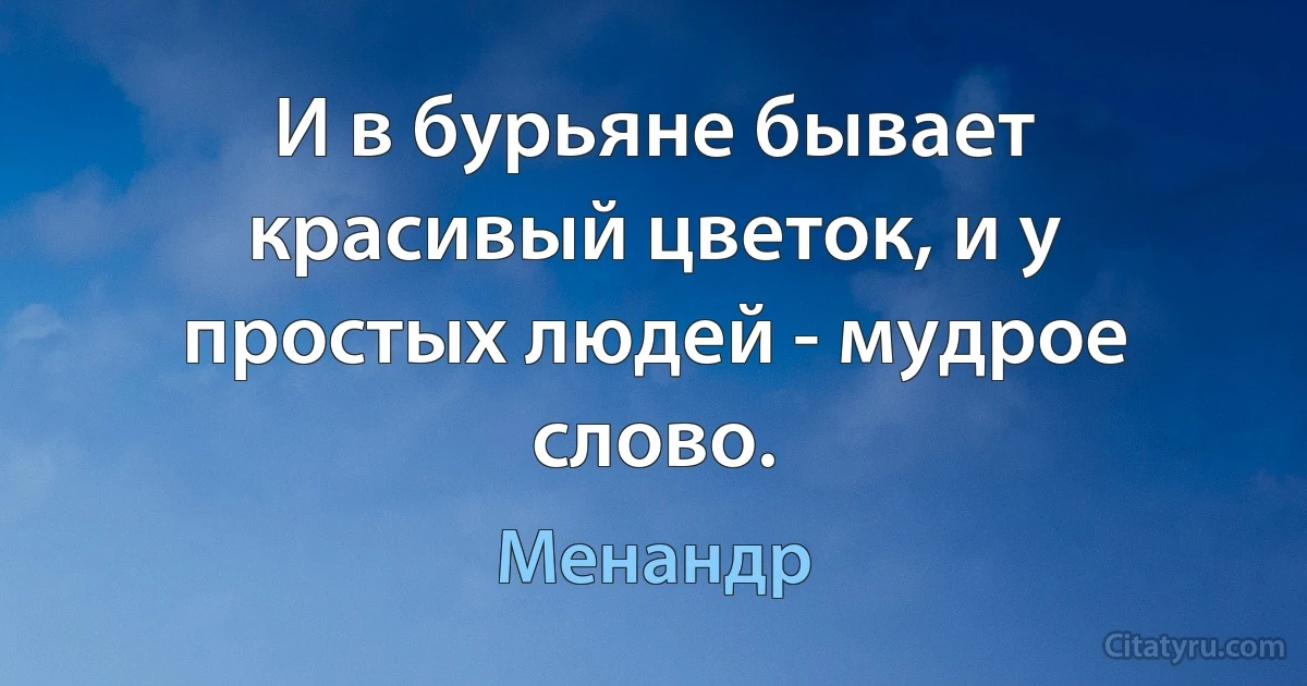 И в бурьяне бывает красивый цветок, и у простых людей - мудрое слово. (Менандр)