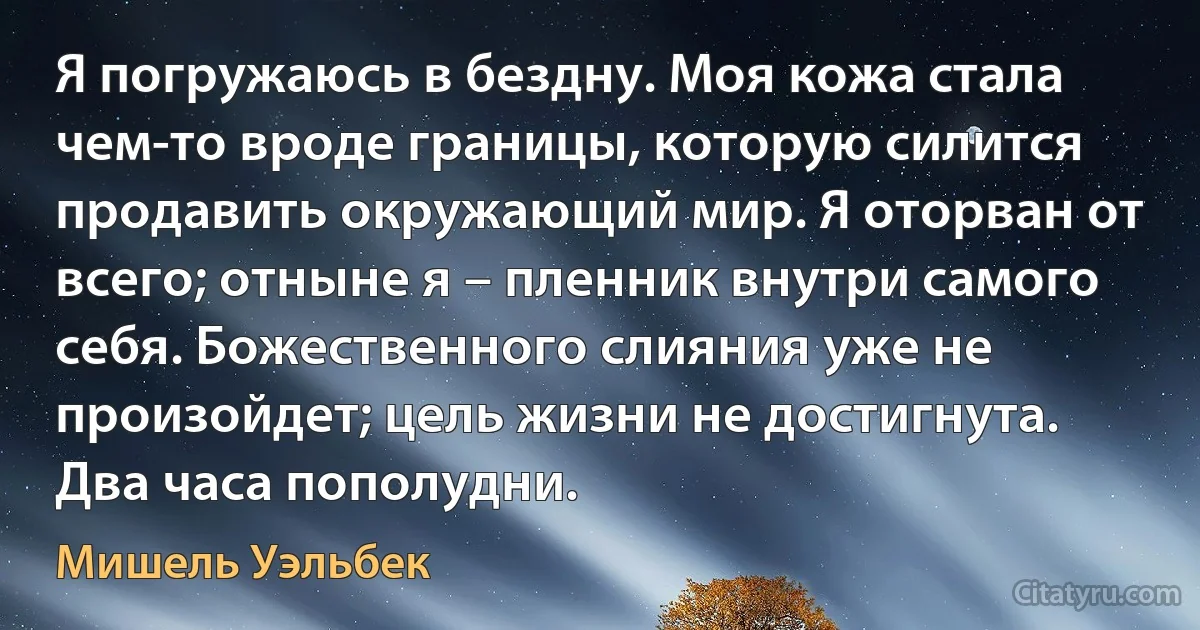 Я погружаюсь в бездну. Моя кожа стала чем-то вроде границы, которую силится продавить окружающий мир. Я оторван от всего; отныне я – пленник внутри самого себя. Божественного слияния уже не произойдет; цель жизни не достигнута. Два часа пополудни. (Мишель Уэльбек)