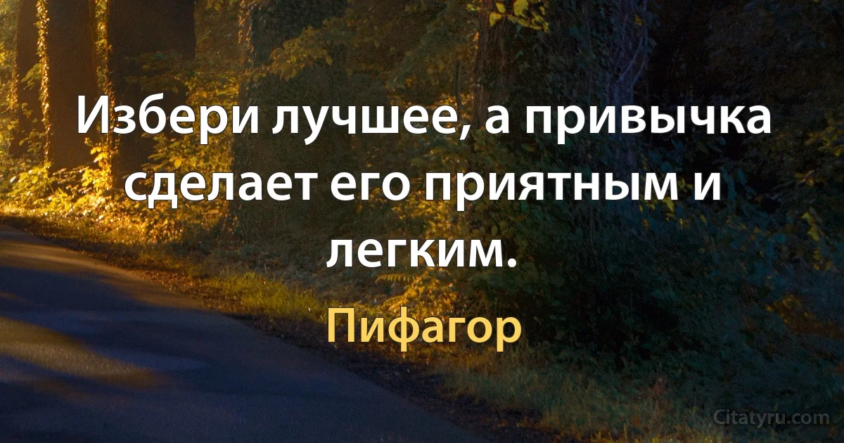 Избери лучшее, а привычка сделает его приятным и легким. (Пифагор)