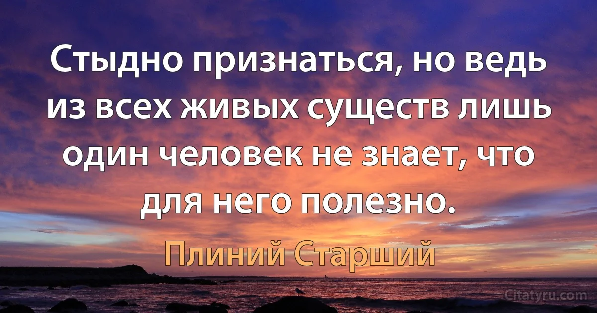 Стыдно признаться, но ведь из всех живых существ лишь один человек не знает, что для него полезно. (Плиний Старший)