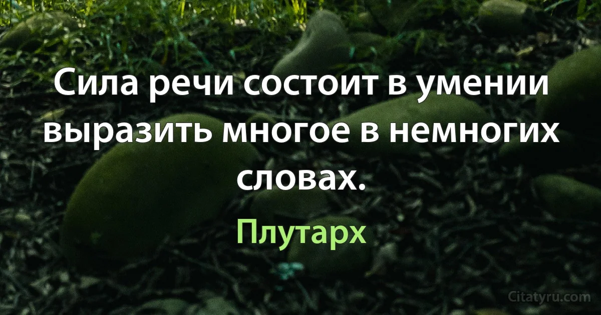 Сила речи состоит в умении выразить многое в немногих словах. (Плутарх)