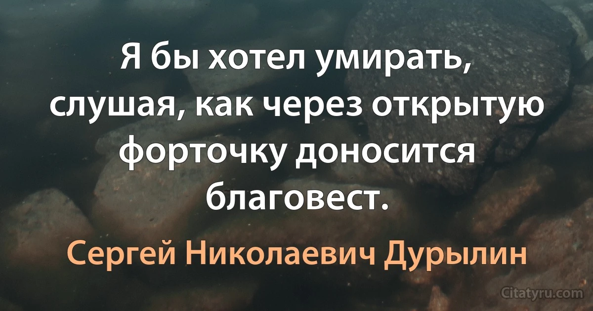 Я бы хотел умирать, слушая, как через открытую форточку доносится благовест. (Сергей Николаевич Дурылин)