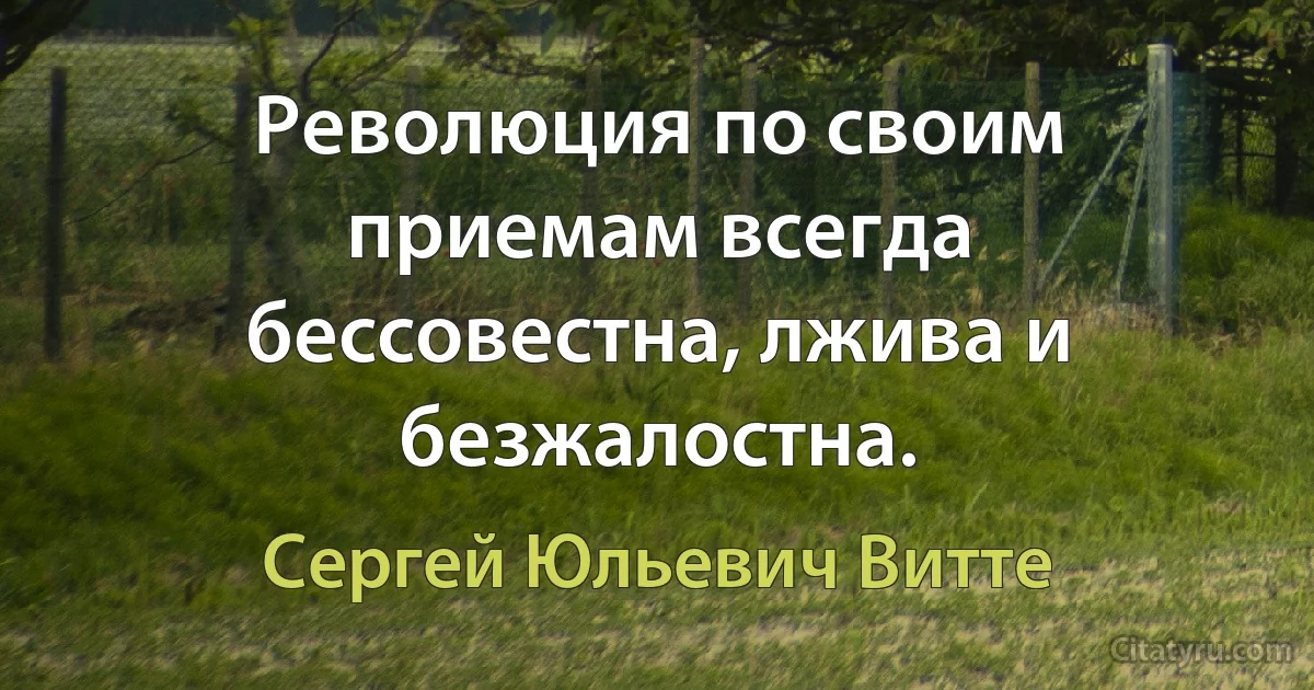 Революция по своим приемам всегда бессовестна, лжива и безжалостна. (Сергей Юльевич Витте)