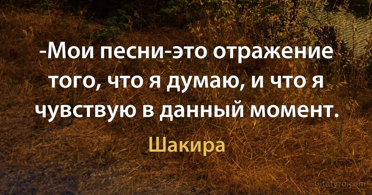 -Мои песни-это отражение того, что я думаю, и что я чувствую в данный момент. (Шакира)