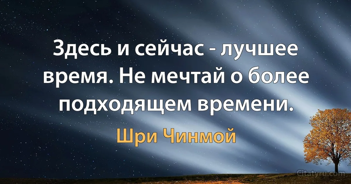 Здесь и сейчас - лучшее время. Не мечтай о более подходящем времени. (Шри Чинмой)