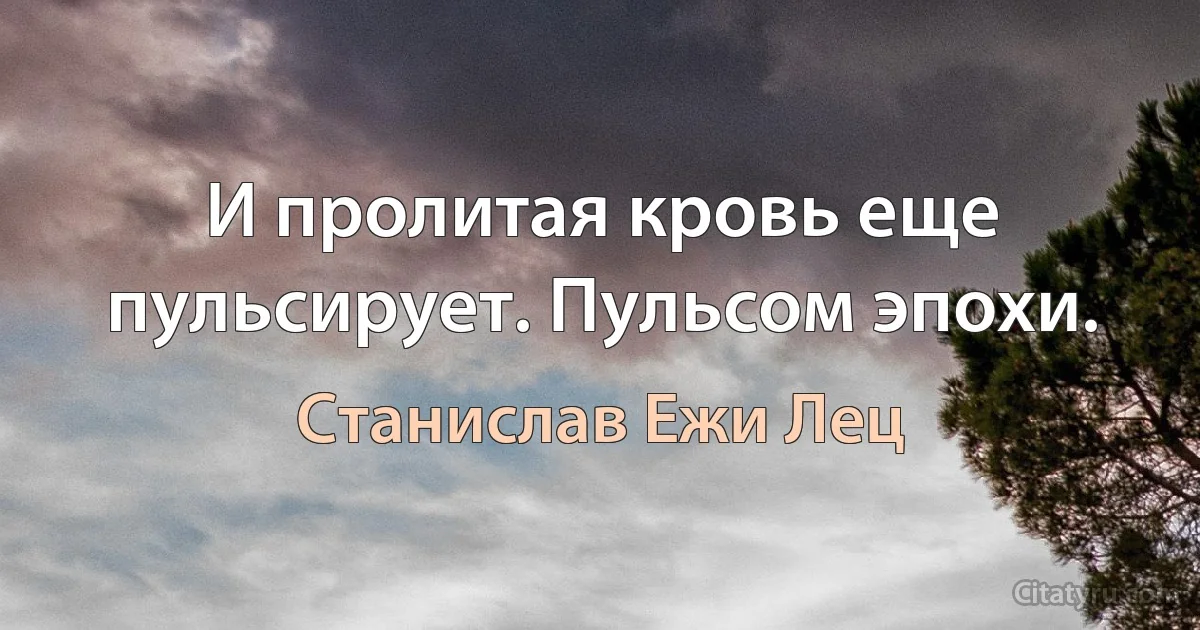 И пролитая кровь еще пульсирует. Пульсом эпохи. (Станислав Ежи Лец)