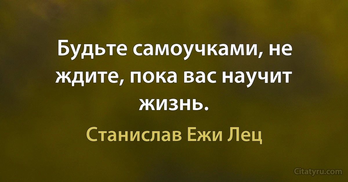 Будьте самоучками, не ждите, пока вас научит жизнь. (Станислав Ежи Лец)