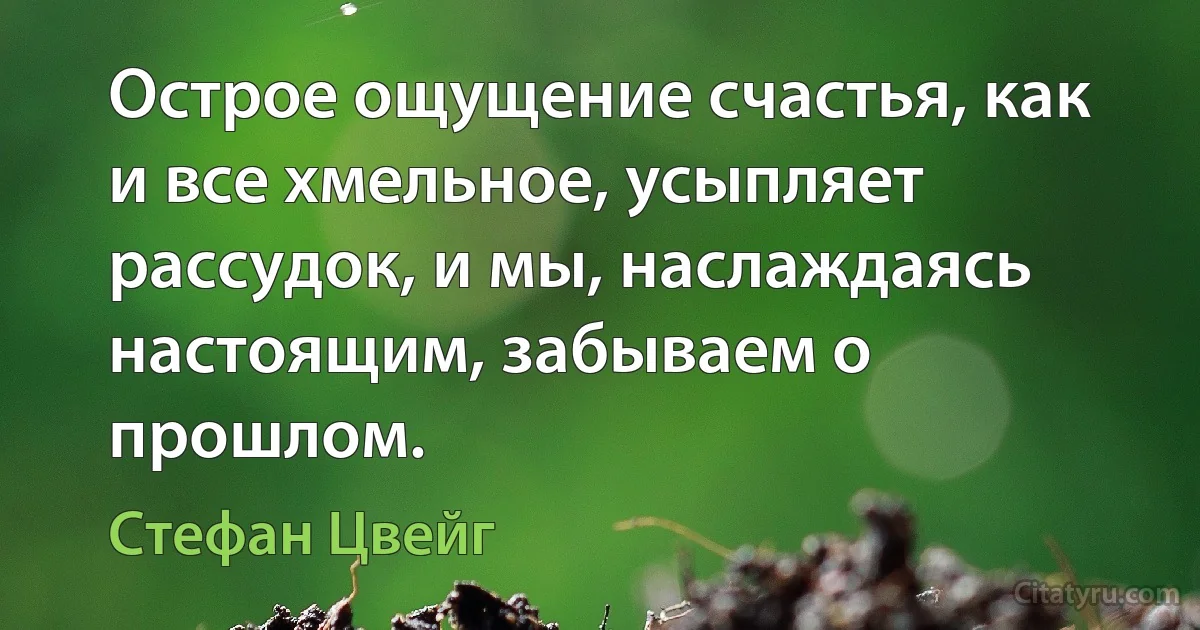 Острое ощущение счастья, как и все хмельное, усыпляет рассудок, и мы, наслаждаясь настоящим, забываем о прошлом. (Стефан Цвейг)