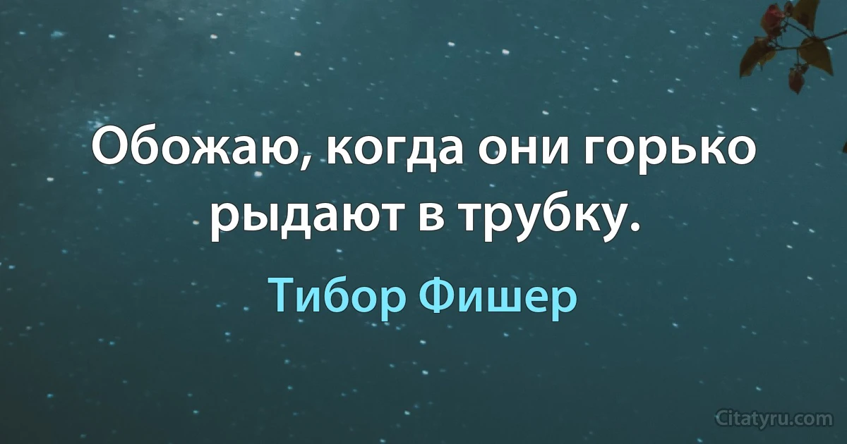 Обожаю, когда они горько рыдают в трубку. (Тибор Фишер)