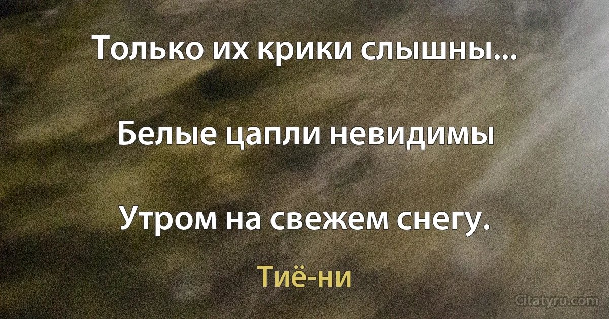 Только их крики слышны...

Белые цапли невидимы

Утром на свежем снегу. (Тиё-ни)