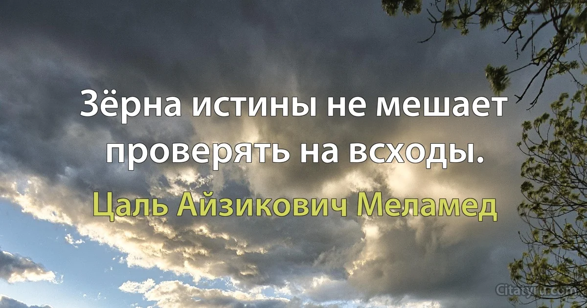 Зёрна истины не мешает проверять на всходы. (Цаль Айзикович Меламед)