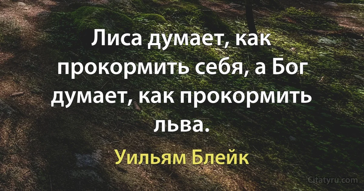 Лиса думает, как прокормить себя, а Бог думает, как прокормить льва. (Уильям Блейк)