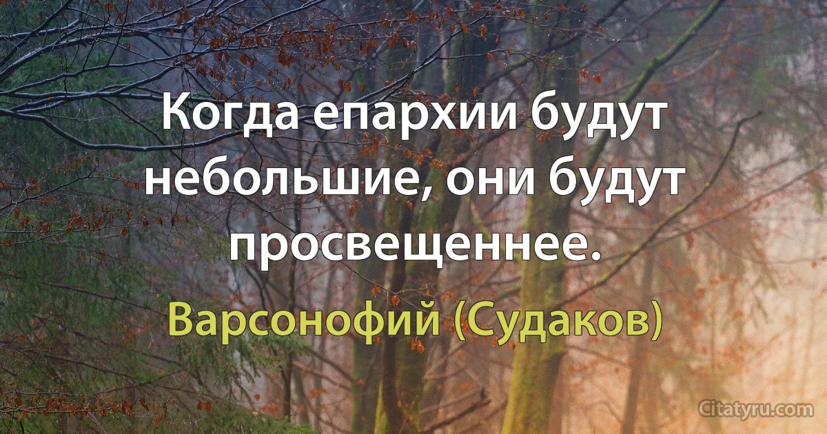 Когда епархии будут небольшие, они будут просвещеннее. (Варсонофий (Судаков))