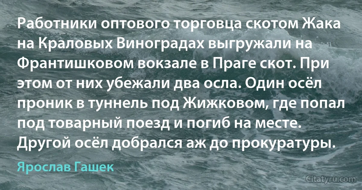 Работники оптового торговца скотом Жака на Краловых Виноградах выгружали на Франтишковом вокзале в Праге скот. При этом от них убежали два осла. Один осёл проник в туннель под Жижковом, где попал под товарный поезд и погиб на месте. Другой осёл добрался аж до прокуратуры. (Ярослав Гашек)