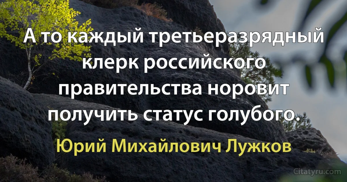 А то каждый третьеразрядный клерк российского правительства норовит получить статус голубого. (Юрий Михайлович Лужков)