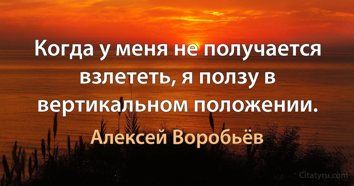 Когда у меня не получается взлететь, я ползу в вертикальном положении. (Алексей Воробьёв)