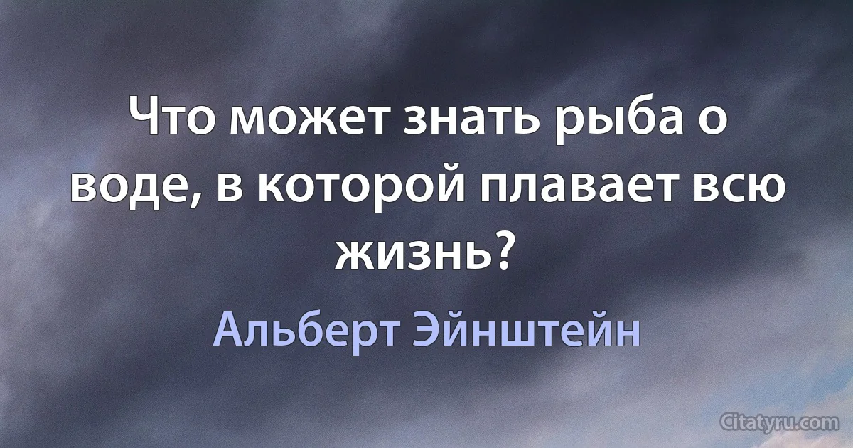 Что может знать рыба о воде, в которой плавает всю жизнь? (Альберт Эйнштейн)