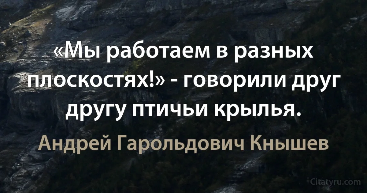 «Мы работаем в разных плоскостях!» - говорили друг другу птичьи крылья. (Андрей Гарольдович Кнышев)