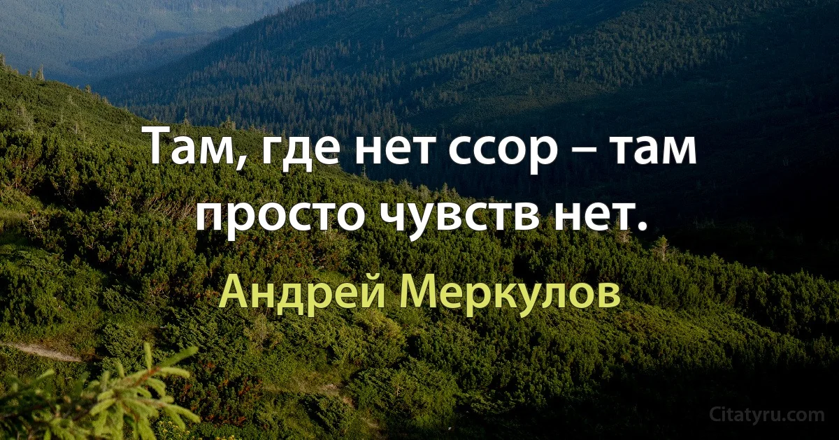 Там, где нет ссор – там просто чувств нет. (Андрей Меркулов)