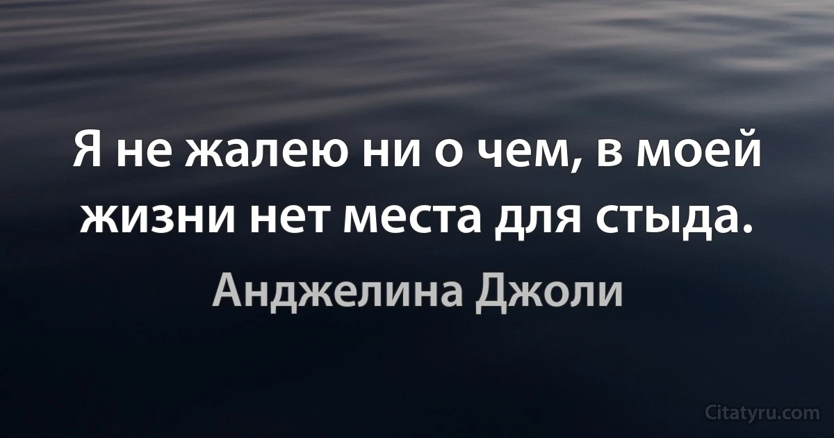 Я не жалею ни о чем, в моей жизни нет места для стыда. (Анджелина Джоли)