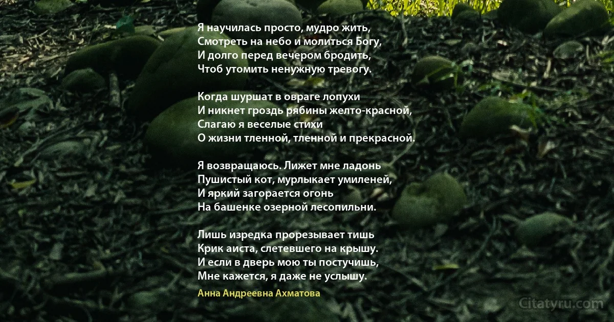 Я научилась просто, мудро жить, 
Смотреть на небо и молиться Богу, 
И долго перед вечером бродить, 
Чтоб утомить ненужную тревогу.

Когда шуршат в овраге лопухи 
И никнет гроздь рябины желто-красной, 
Слагаю я веселые стихи 
О жизни тленной, тленной и прекрасной.

Я возвращаюсь. Лижет мне ладонь 
Пушистый кот, мурлыкает умиленей,
И яркий загорается огонь 
На башенке озерной лесопильни.

Лишь изредка прорезывает тишь 
Крик аиста, слетевшего на крышу. 
И если в дверь мою ты постучишь,
Мне кажется, я даже не услышу. (Анна Андреевна Ахматова)