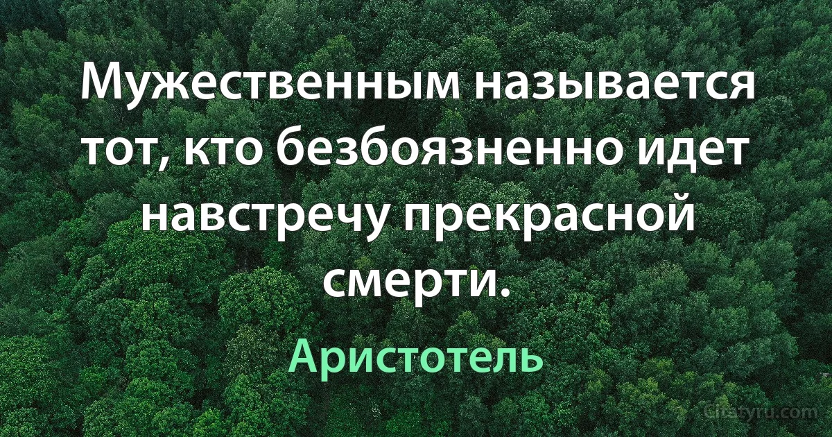 Мужественным называется тот, кто безбоязненно идет навстречу прекрасной смерти. (Аристотель)