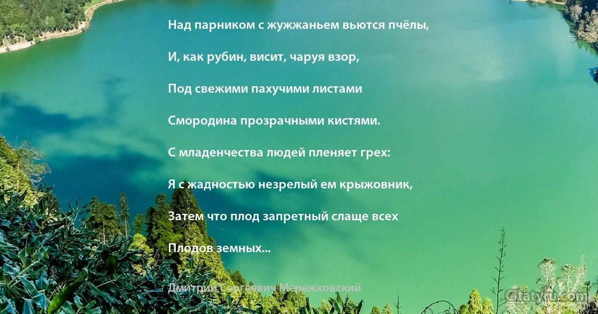 Над парником с жужжаньем вьются пчёлы,

И, как рубин, висит, чаруя взор,

Под свежими пахучими листами

Смородина прозрачными кистями.

С младенчества людей пленяет грех:

Я с жадностью незрелый ем крыжовник,

Затем что плод запретный слаще всех

Плодов земных... (Дмитрий Сергеевич Мережковский)